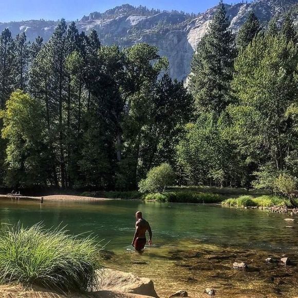 Meet your Posher, Felix - Picture 1 of 1